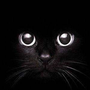 Meet your Posher, Lia